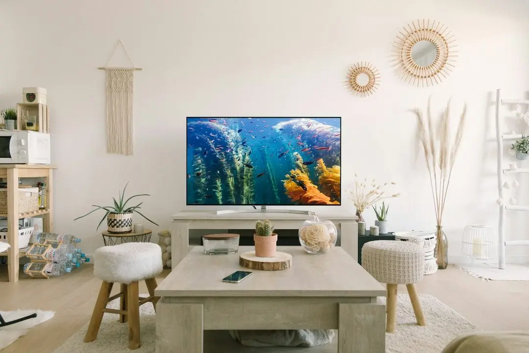 Bright living room with a flat-screen TV showing a colourful underwater scene